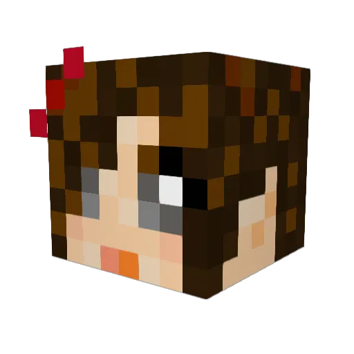 Absolute0x0 Minecraft avatar head, 3D render