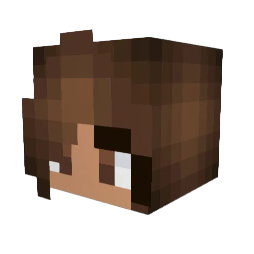 AbsoluteIInk Minecraft avatar head, 3D render