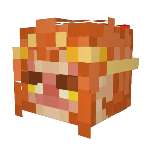 AbsoluteNobody_ Minecraft avatar head, 3D render