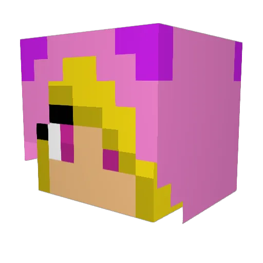 AbsolutelyRachel Minecraft avatar head, 3D render