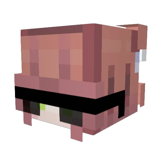 Absoluterailgun Minecraft avatar head, 3D render
