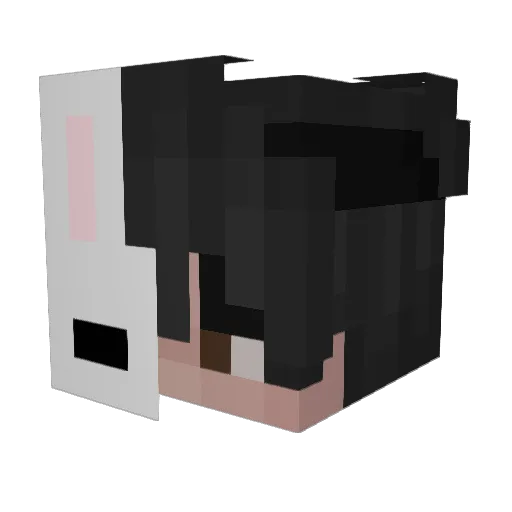 AbsorbedOfficial Minecraft avatar head, 3D render