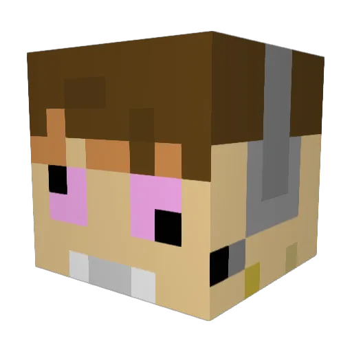 AbsorbedSaturn0 Minecraft avatar head, 3D render