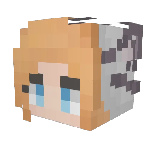 Absquatulating2 Minecraft avatar head, 3D render