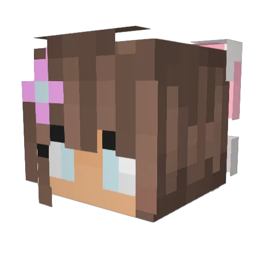 AbsurdSPAACCEE Minecraft avatar head, 3D render