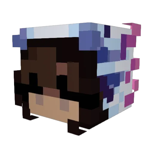 AbtAvrageAxolotl Minecraft avatar head, 3D render