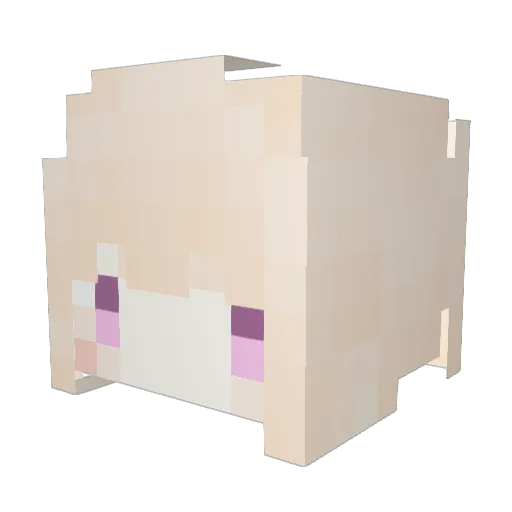Abu125 Minecraft avatar head, 3D render