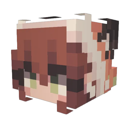 Abu233 Minecraft avatar head, 3D render