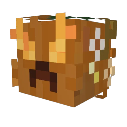 AbusingYTRank Minecraft avatar head, 3D render