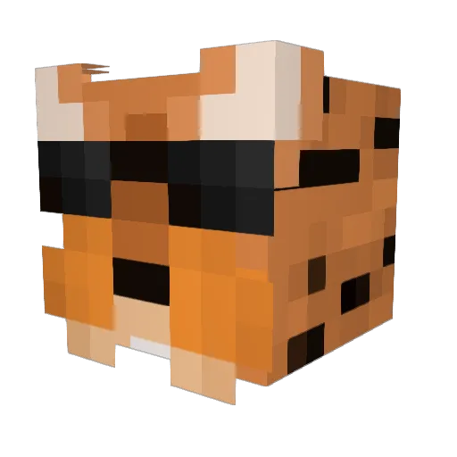 Abutoffee Minecraft avatar head, 3D render