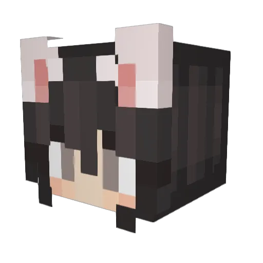 Abvaun Minecraft avatar head, 3D render