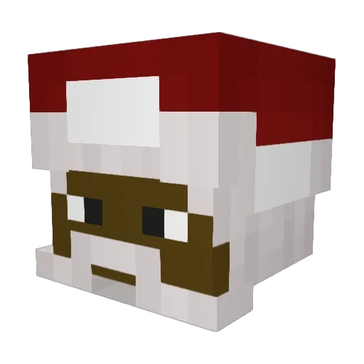 Abyss695 Minecraft avatar head, 3D render