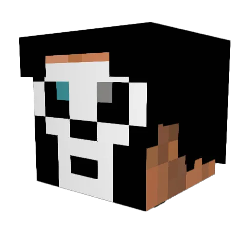 Abysswalker64 Minecraft avatar head, 3D render