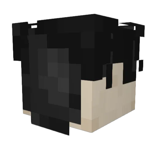 Abyxl Minecraft avatar head, 3D render