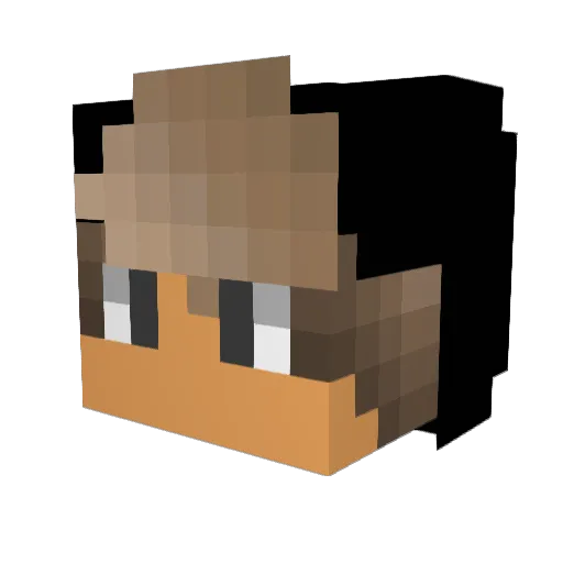 AcE_KILLZ_69 Minecraft avatar head, 3D render