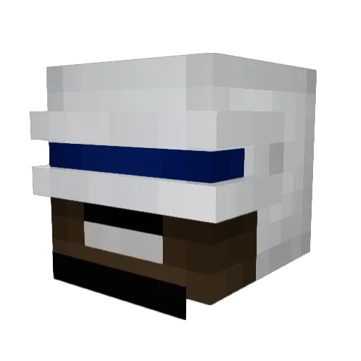 AcTvReign Minecraft avatar head, 3D render