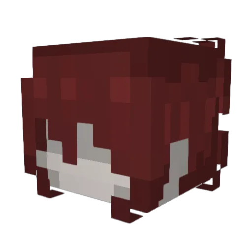 Aca11aris Minecraft avatar head, 3D render
