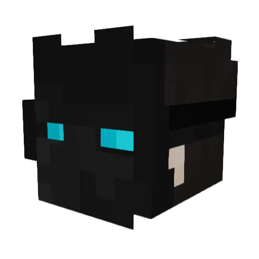 Aca4rd Minecraft avatar head, 3D render