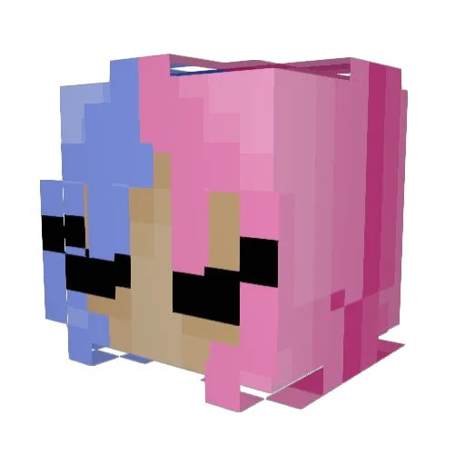 AcaciaRayvn Minecraft avatar head, 3D render