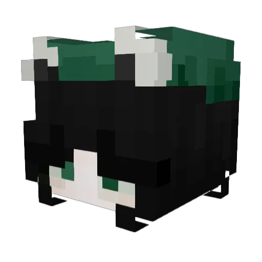 Acaciiaa Minecraft avatar head, 3D render