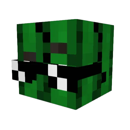 Acactus4321 Minecraft avatar head, 3D render