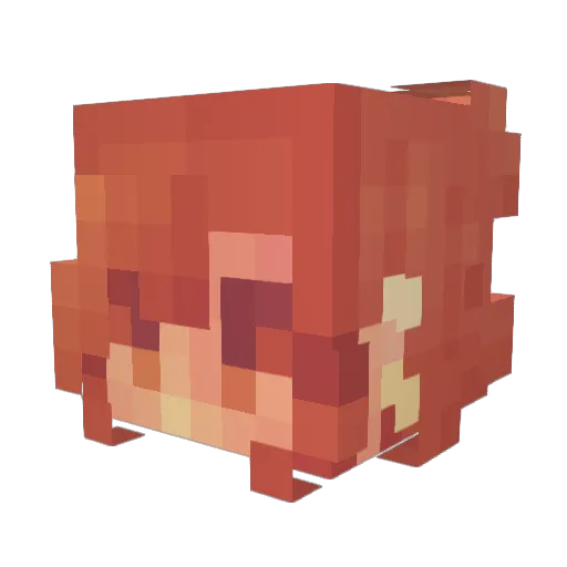 Acadesii Minecraft avatar head, 3D render
