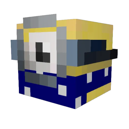 AcaiBowl Minecraft avatar head, 3D render