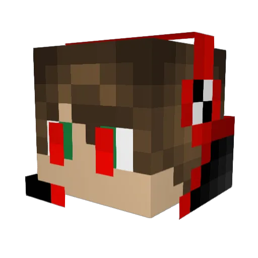 Acailum Minecraft avatar head, 3D render