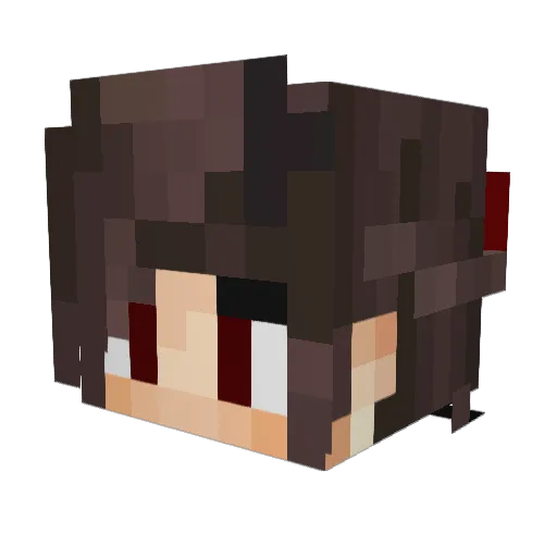 Acanoe Minecraft avatar head, 3D render