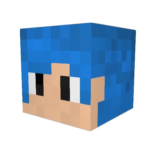 Acap89 Minecraft avatar head, 3D render