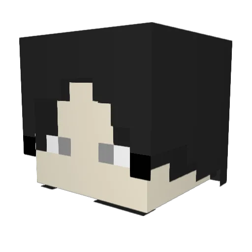 AcarityFailed Minecraft avatar head, 3D render
