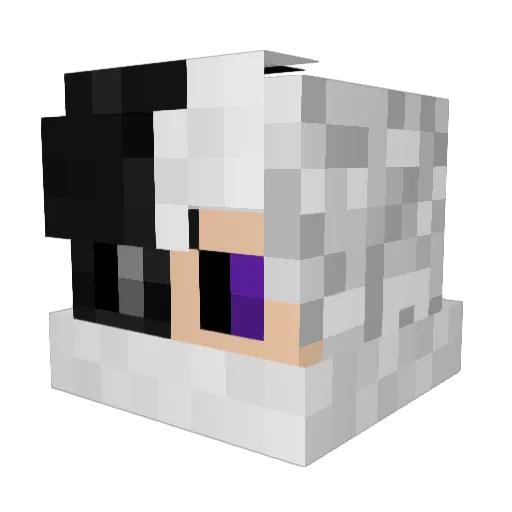 AcarnasCrush Minecraft avatar head, 3D render