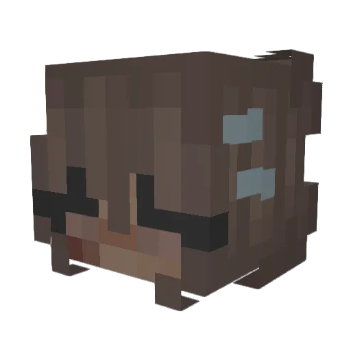 Acasa17 Minecraft avatar head, 3D render