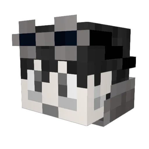 AcatThatsIsMewo Minecraft avatar head, 3D render