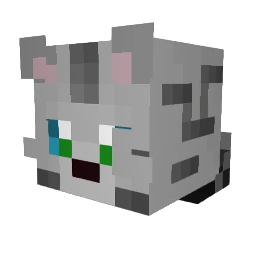 Acatnamedstorm Minecraft avatar head, 3D render