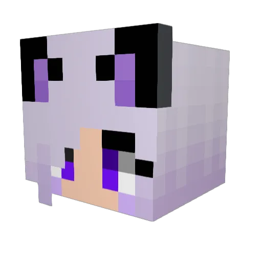 Acatr Minecraft avatar head, 3D render