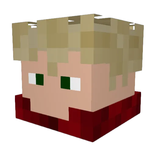 AccaMisio Minecraft avatar head, 3D render