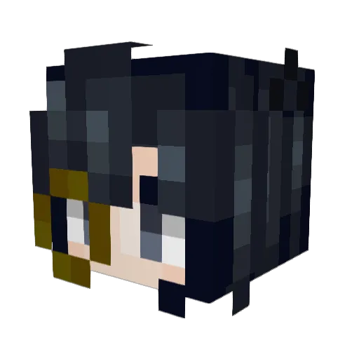 AcceleratedCat Minecraft avatar head, 3D render