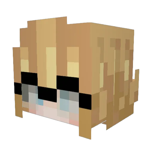 Accentia Minecraft avatar head, 3D render