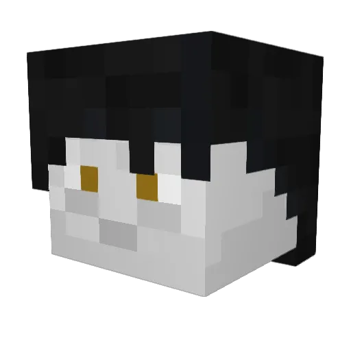 AccesFail Minecraft avatar head, 3D render