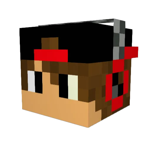 Accidental_Child Minecraft avatar head, 3D render