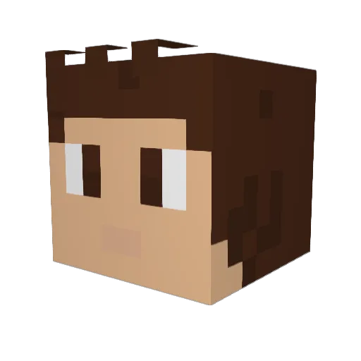 Accider_ Minecraft avatar head, 3D render