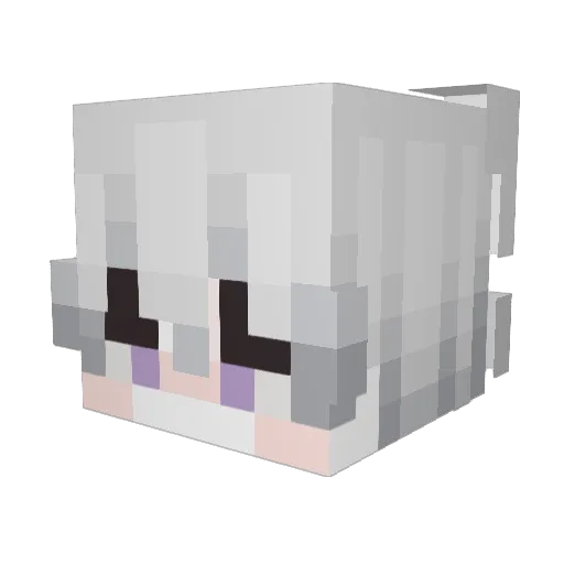 Acciidia Minecraft avatar head, 3D render