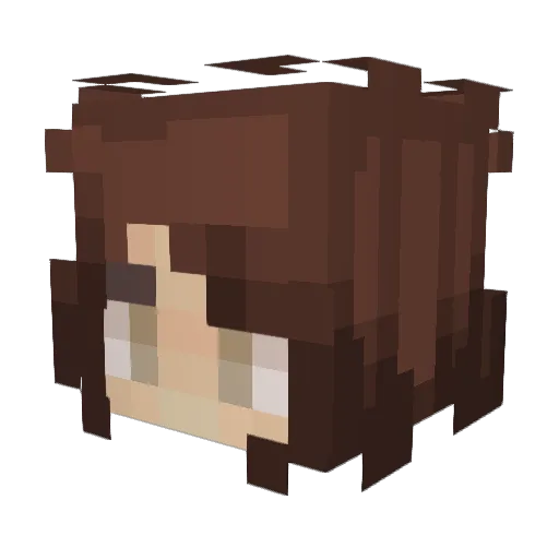 AccioEmrys Minecraft avatar head, 3D render