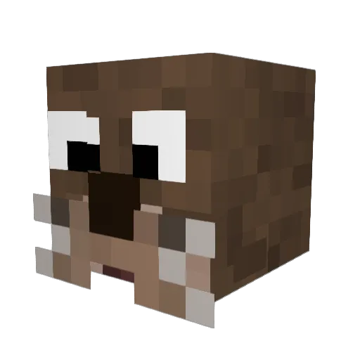 Acclazit Minecraft avatar head, 3D render
