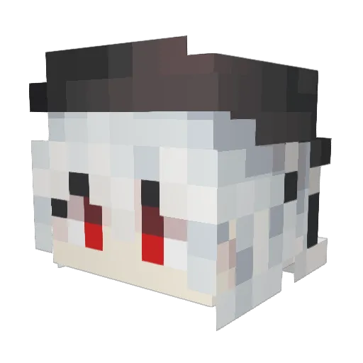 Accoing Minecraft avatar head, 3D render