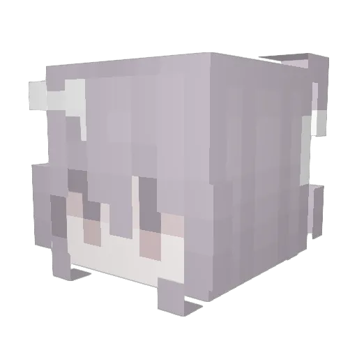 Account653 Minecraft avatar head, 3D render