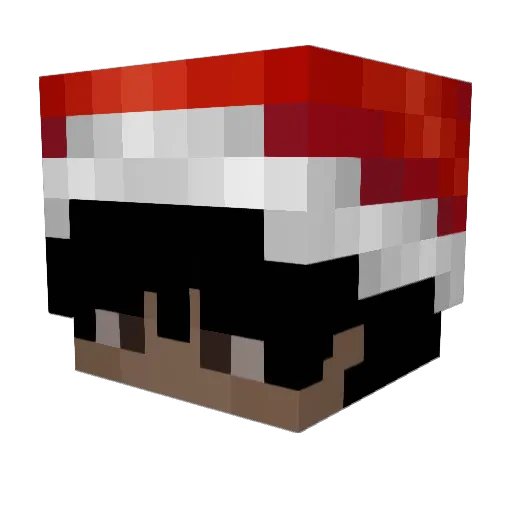 Account961 Minecraft avatar head, 3D render