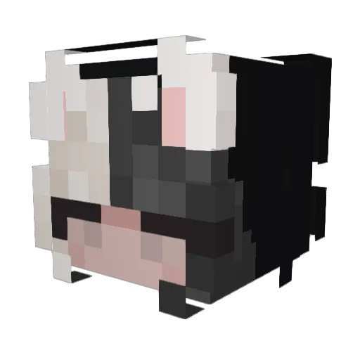 AccountWasStolen Minecraft avatar head, 3D render