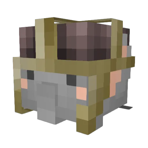 AccountantMan Minecraft avatar head, 3D render